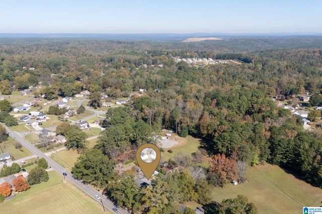 2945 MOUNT OLIVE ROAD, Mount Olive, AL 35117