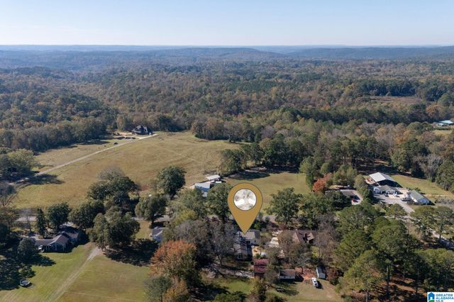 2945 MOUNT OLIVE ROAD, Mount Olive, AL 35117