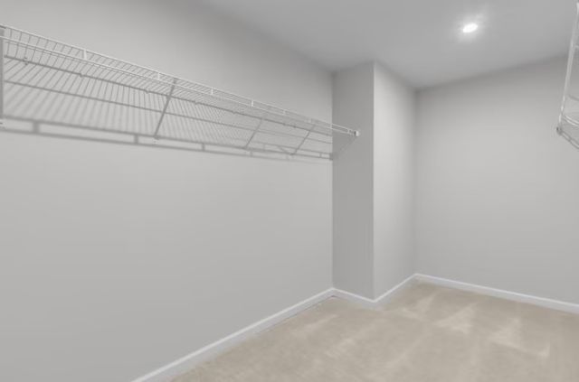 3709 Seapepper Dr, Columbia, TN 38401