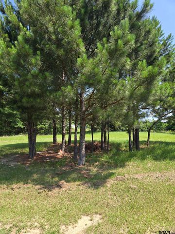 TBD CR 485, Tyler, TX 75706