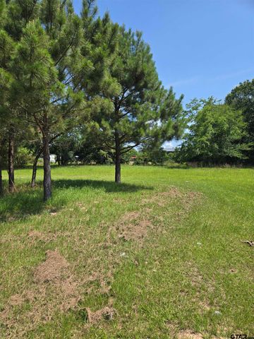 TBD CR 485, Tyler, TX 75706