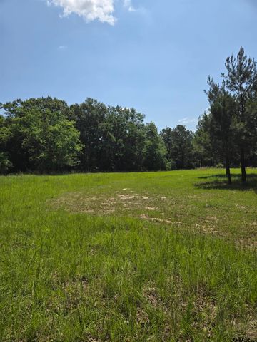 TBD CR 485, Tyler, TX 75706