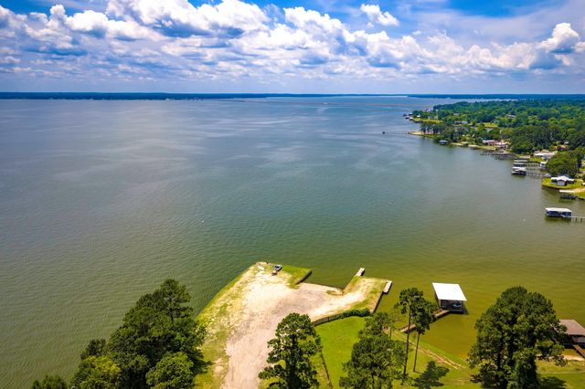 133 Panther, Onalaska, TX 77360