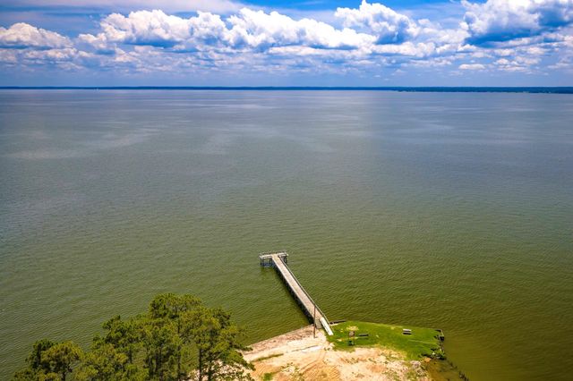 133 Panther, Onalaska, TX 77360