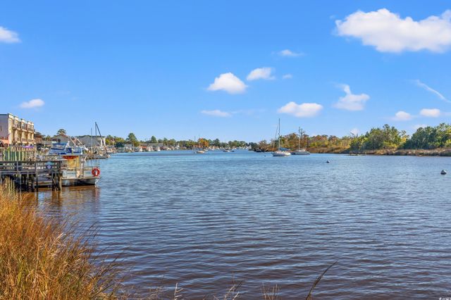 702 Daisy Bank Circle, Georgetown, SC 29440