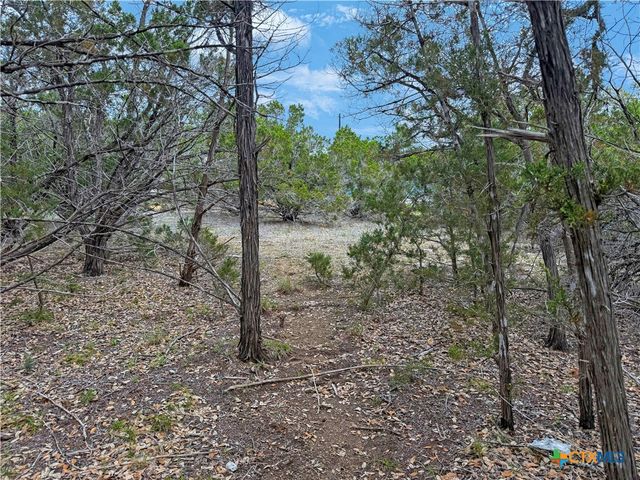 1084 Dog Leg Lane, Spring Branch, TX 78070