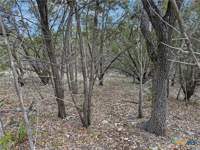1084 Dog Leg Lane, Spring Branch, TX 78070