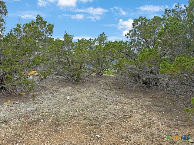 1084 Dog Leg Lane, Spring Branch, TX 78070