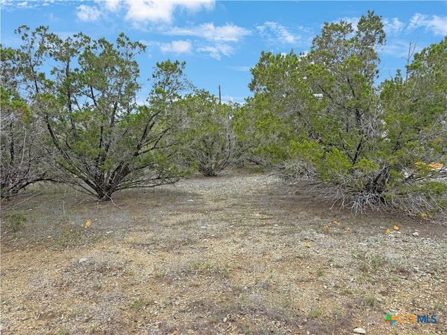 1084 Dog Leg Lane, Spring Branch, TX 78070
