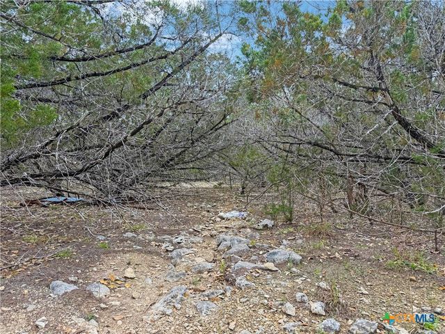 1084 Dog Leg Lane, Spring Branch, TX 78070
