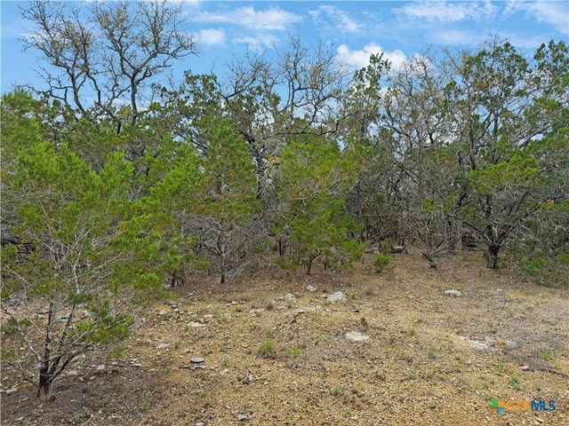 1084 Dog Leg Lane, Spring Branch, TX 78070