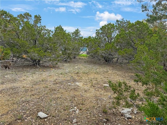 1084 Dog Leg Lane, Spring Branch, TX 78070