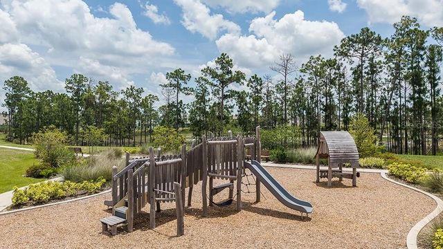 14784 FIELD DAISY DRIVE, Winter Garden, FL 34787