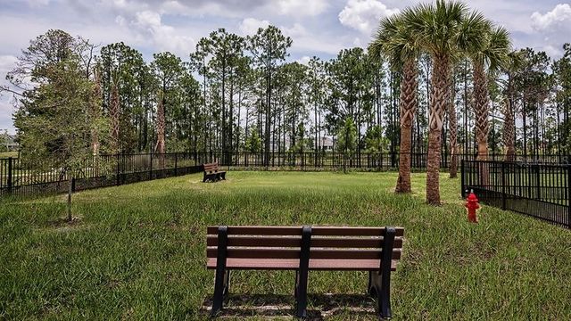 14784 FIELD DAISY DRIVE, Winter Garden, FL 34787