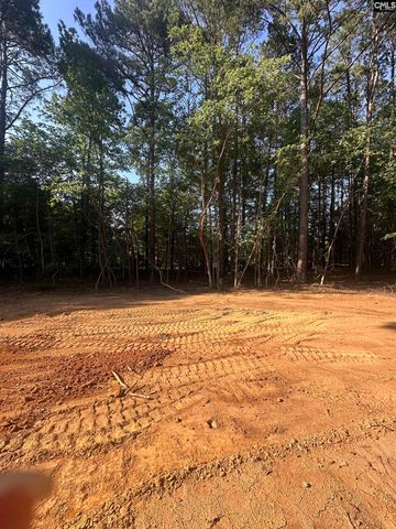 86 Kelly Court, Blair, SC 29015