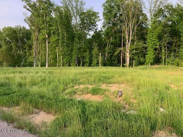 2914 S Cypress Lake Drive, South, Olive Branch, MS 38654