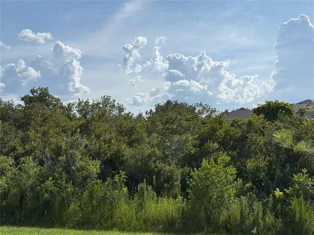 2113 WARREN ACRES BOULEVARD, Wesley Chapel, FL 33543