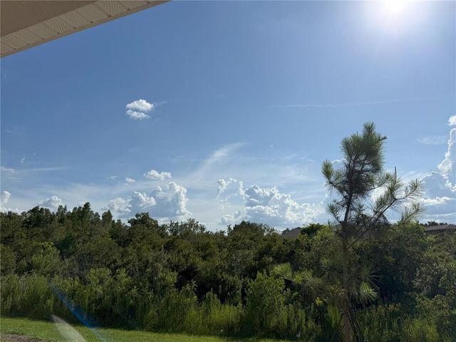 2113 WARREN ACRES BOULEVARD, Wesley Chapel, FL 33543