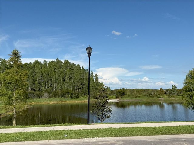 2113 WARREN ACRES BOULEVARD, Wesley Chapel, FL 33543