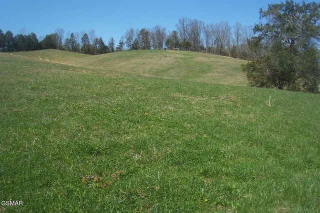 1 Flat Creek Rd, Sevierville, TN 37876