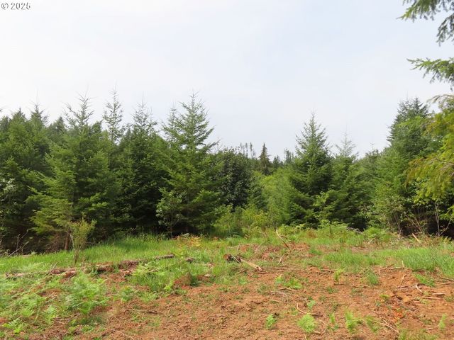 Mill Creek Lane G, Longview, WA 98632