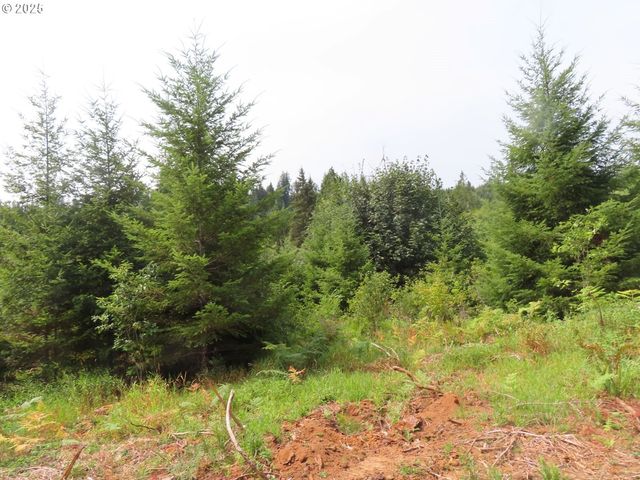 Mill Creek Lane G, Longview, WA 98632