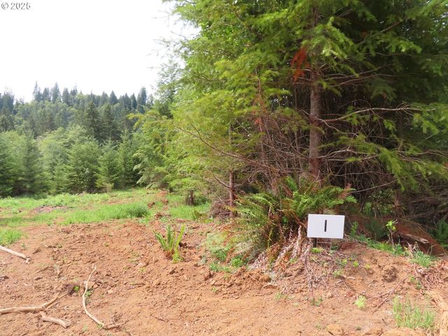 Mill Creek Lane G, Longview, WA 98632