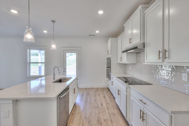 2584 Ventura Ave, White House, TN 37188