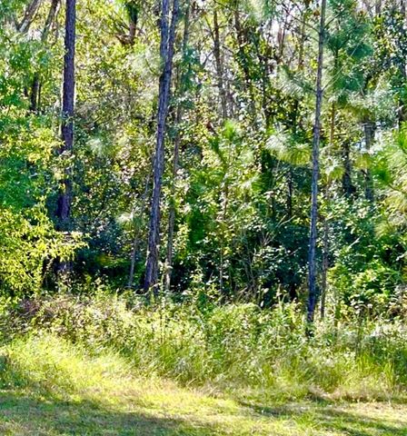 1011 INDIAN LAKE DRIVE, Indian Lake Estates, FL 33855