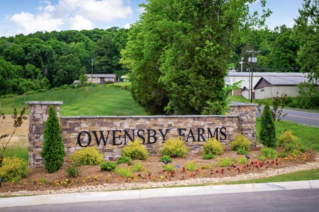 173 Todd Owensby Ln, Dayton, TN 37321