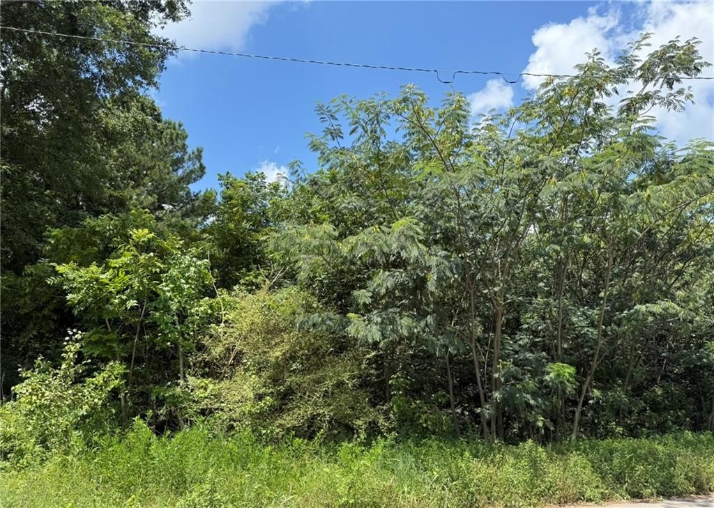0 Beeler SW Drive, Atlanta, GA 30315