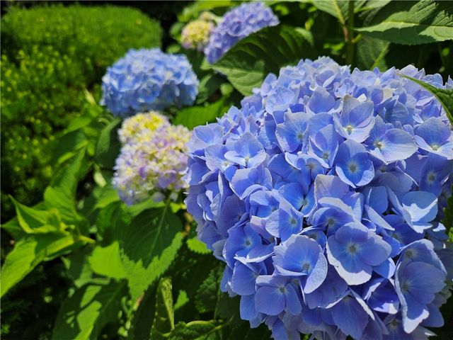 57 Delway Road, Cranston, RI 02910