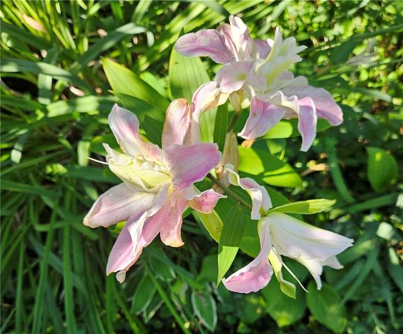 57 Delway Road, Cranston, RI 02910