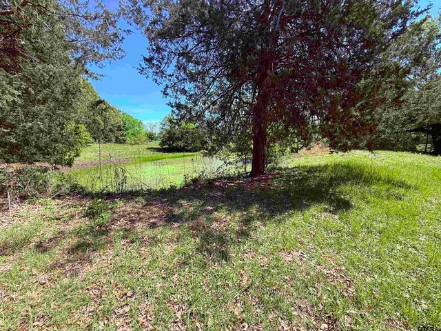 45 CR 1197, Yantis, TX 75497