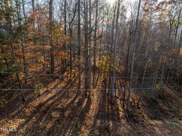 Lot 35 Lonestar Drive, Johnson City, TN 37601