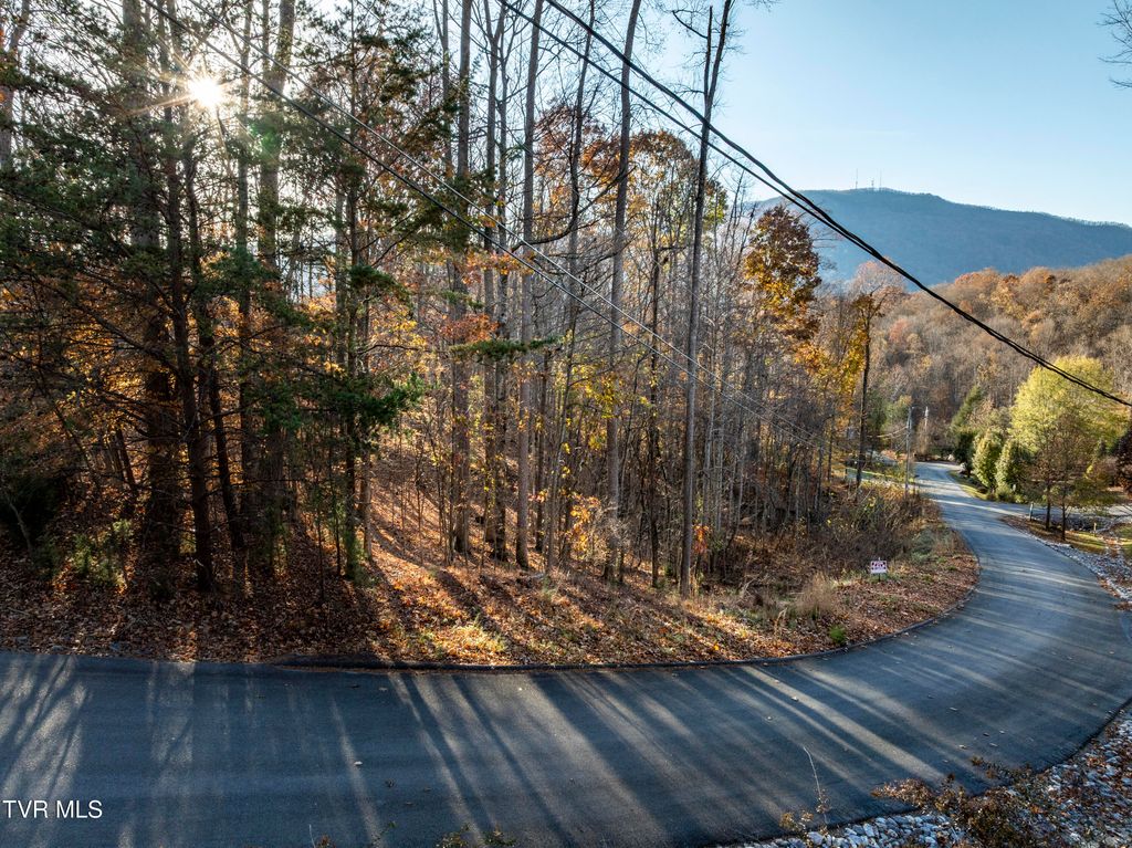 Lot 35 Lonestar Drive, Johnson City, TN 37601