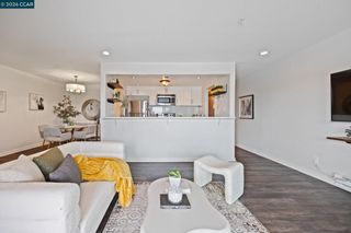 417 Evelyn Avenue 302, Albany, CA 94706