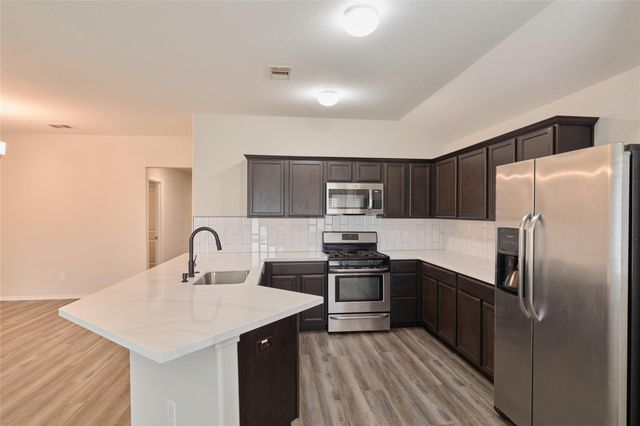 24439 Raindrop Poppy Drive, Spring, TX 77373