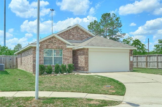 24439 Raindrop Poppy Drive, Spring, TX 77373