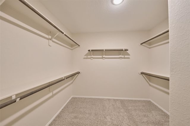 24439 Raindrop Poppy Drive, Spring, TX 77373