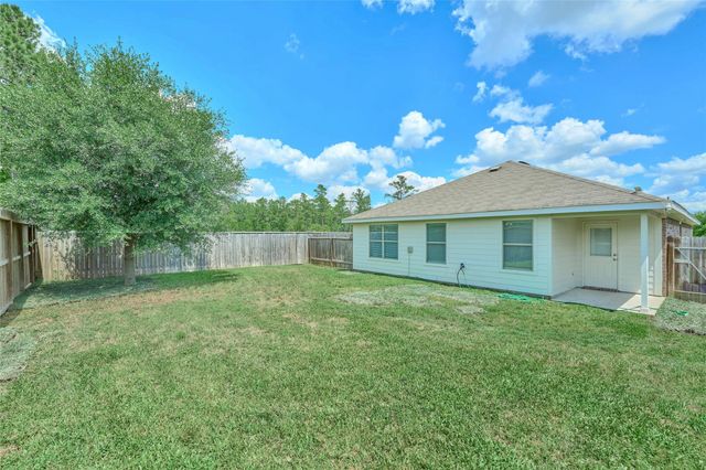 24439 Raindrop Poppy Drive, Spring, TX 77373