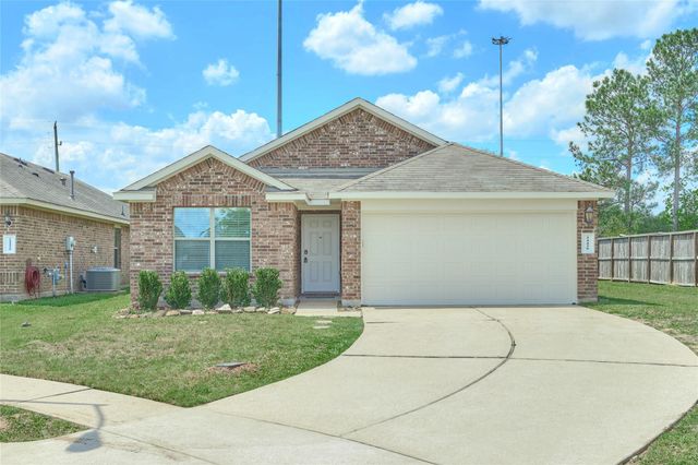 24439 Raindrop Poppy Drive, Spring, TX 77373