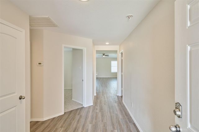 24439 Raindrop Poppy Drive, Spring, TX 77373