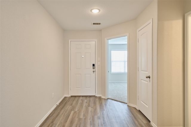 24439 Raindrop Poppy Drive, Spring, TX 77373