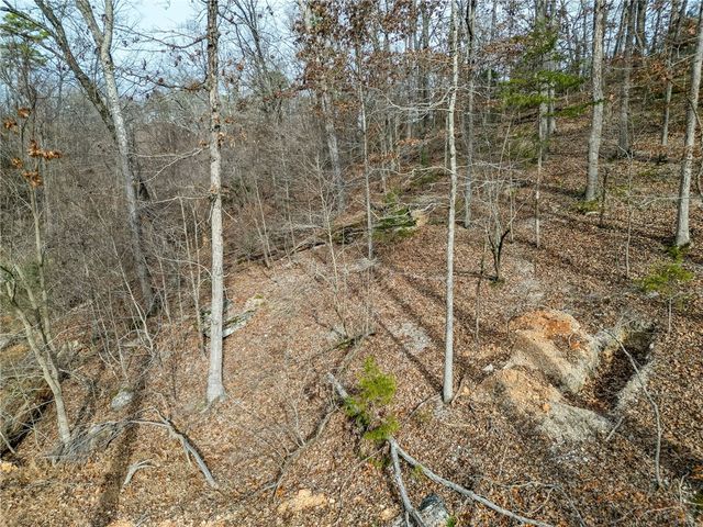 Lot 7 Blisslake Lane, Rogers, AR 72756