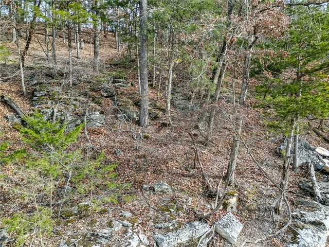 Lot 7 Blisslake Lane, Rogers, AR 72756