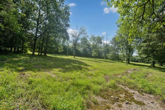 6456 Arno College Grove Rd, College Grove, TN 37046