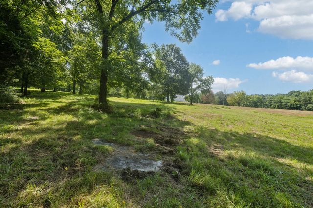 6456 Arno College Grove Rd, College Grove, TN 37046