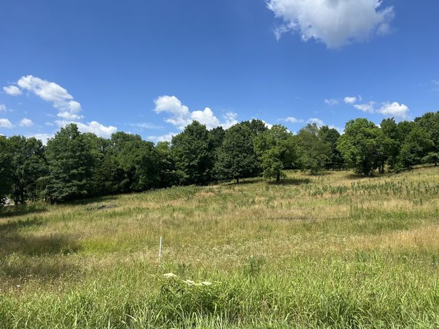 6456 Arno College Grove Rd, College Grove, TN 37046