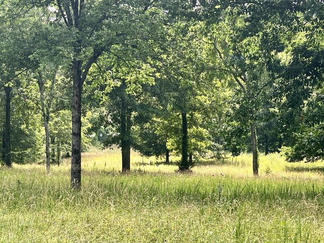 6456 Arno College Grove Rd, College Grove, TN 37046